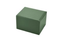 Dex Protection Proline Deck Box: Large - Green