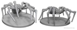 Spiders