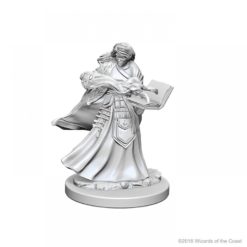 D&D Human Female Wizard