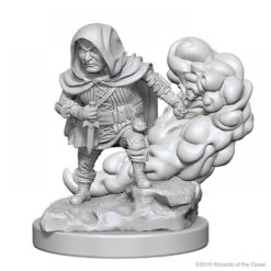 Halfling Male Rogue