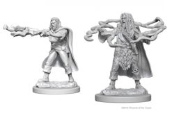 Human Male Sorcerer