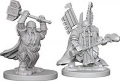 Dwarf Male Paladin