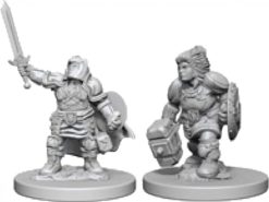 Dwarf Female Paladin