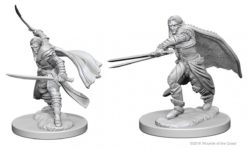 Elf Male Ranger
