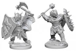 Dragonborn Male Paladin