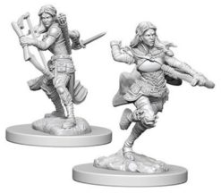 Air Genasi Female Rogue