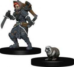 WizKids Wardlings: Girl Rogue & Badger