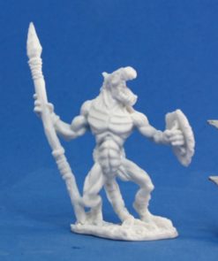 Lizardman Soldier