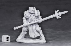 Crusader Defender (spear)