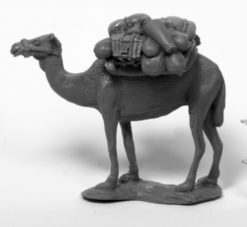 Camel w/Pack