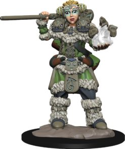WizKids Wardlings: Girl Druid & Stone Creature