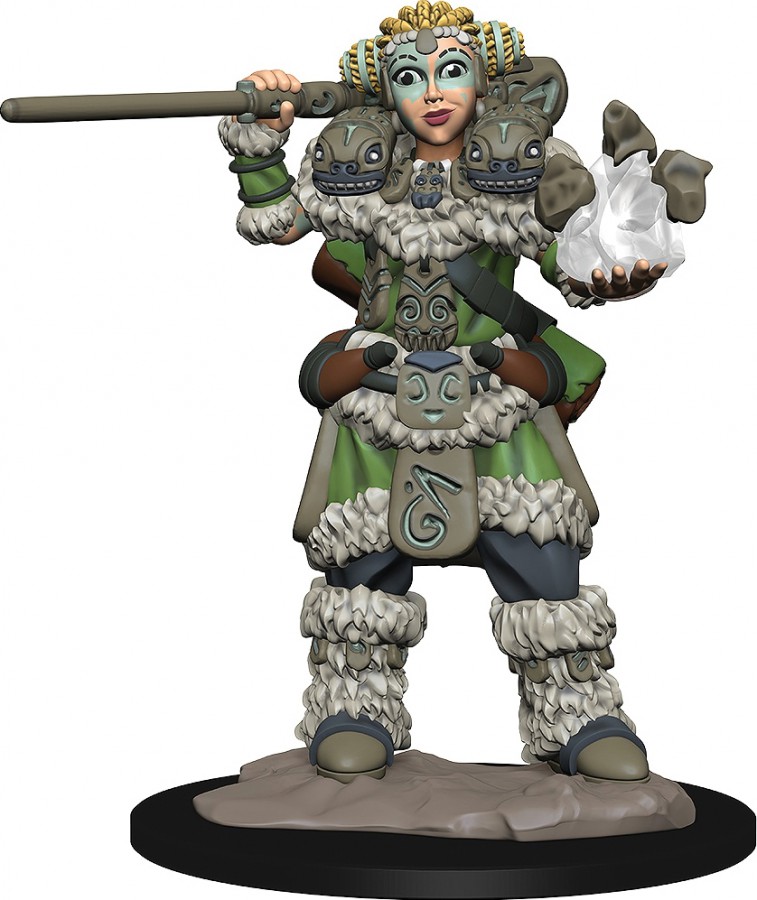 WizKids Wardlings: Girl Druid & Stone Creature