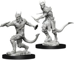 Tiefling Male Rogue