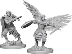 Male Aasimar Fighter
