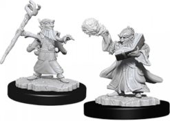 Male Gnome Wizard