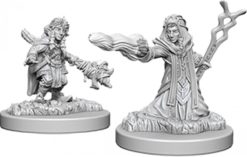 Female Gnome Wizard