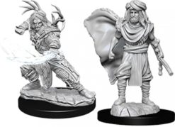 Male Human Druid