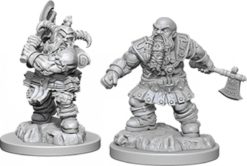 Male Dwarf Barbarian
