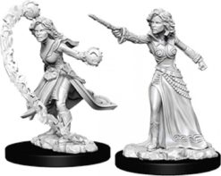 Pathfinder: Female Human Wizard