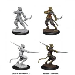 Male Tabaxi Rogue
