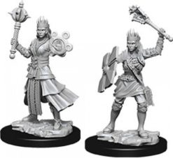 Female Human Cleric