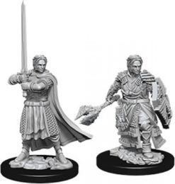 Male Human Cleric