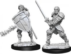 Male Human Fighter