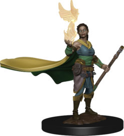 D&D Icons of the Realms: Premium Set 1- Elf Female Druid