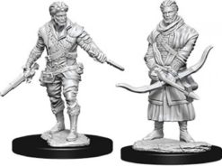 Male Human Rogue