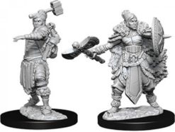 Female Half- Orc Barbarian