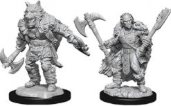 Male Half- Orc Barbarian