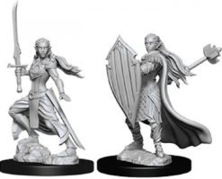 Female Elf Paladin