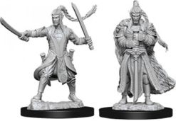 Male Elf Paladin