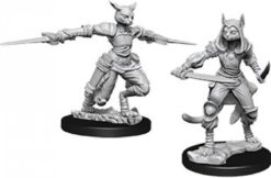 Female Tabaxi Rogue
