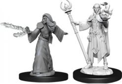 Male Elf Wizard