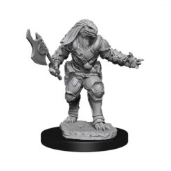 Female Dragonborn Fighter