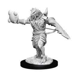 Male Dragonborn Paladin