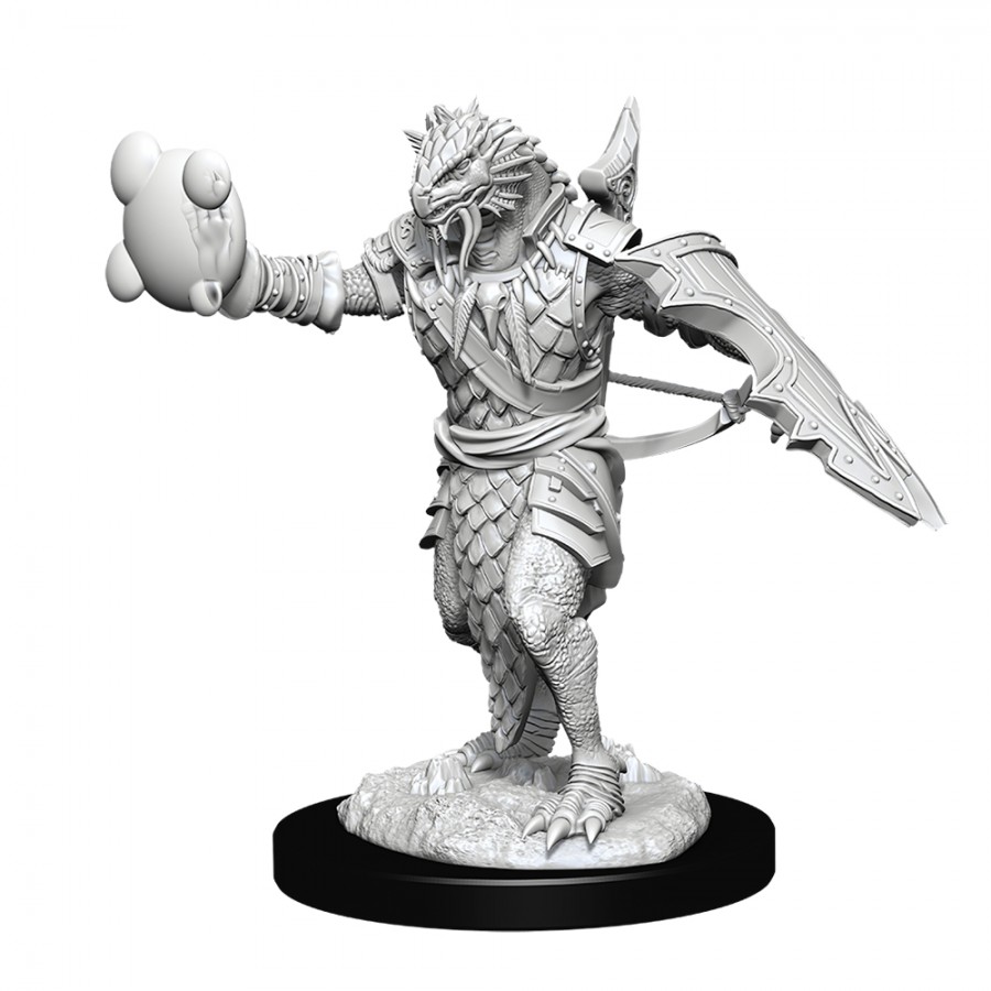 Male Dragonborn Paladin