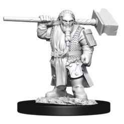 Male Dwarf Cleric
