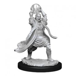 Male Elf Sorcerer