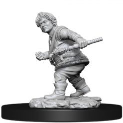 Male Halfling Rogue