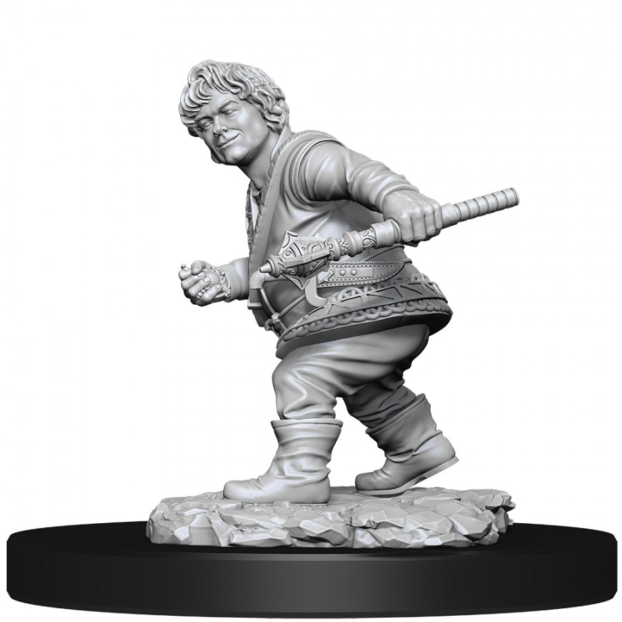 Male Halfling Rogue