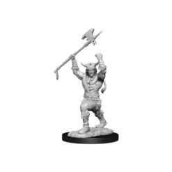 Male Human Barbarian