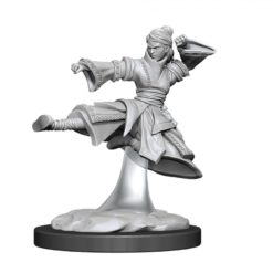 Female Human Monk