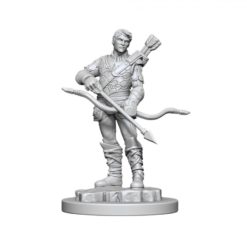 Male Human Ranger