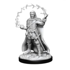Male Human Wizard