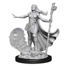 Female Human Wizard