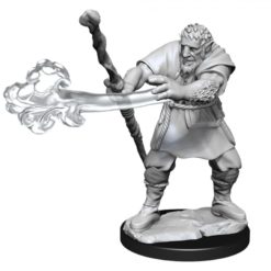 Male Firbolg Druid