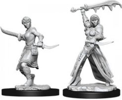 Female Human Rogue