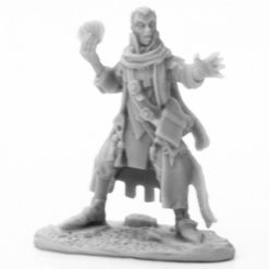 Erasmus, Iconic Medium